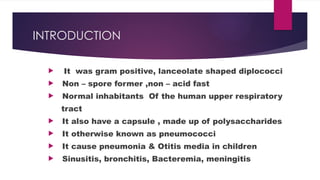 INTRODUCTION
 It was gram positive, lanceolate shaped diplococci
 Non – spore former ,non – acid fast
 Normal inhabitants Of the human upper respiratory
tract
 It also have a capsule , made up of polysaccharides
 It otherwise known as pneumococci
 It cause pneumonia & Otitis media in children
 Sinusitis, bronchitis, Bacteremia, meningitis
 