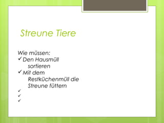 Streune Tiere
Wie müssen:
üDen Hausmüll
sortieren
üMit dem
Restküchenmüll die
Streune füttern
ü
ü
ü
 