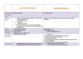 Intercalated and Striated ducts | DOCX