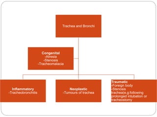 Trachea and Bronchi
Inflammatory
-Tracheobronchitis
Neoplastic
-Tumours of trachea
Traumatic
-Foreign body
-Stenosis
trachea(e.g:following
prolonged intubation or
tracheostomy
Congenital
-Atresia
-Stenosis
-Tracheomalacia
 