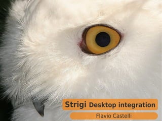 Strigi Desktop integration
        Flavio Castelli
 