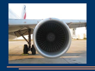 Avion lovit de pasari