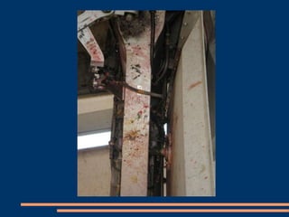 Avion lovit de pasari