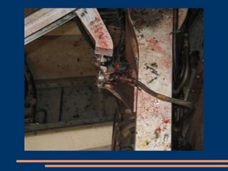 Avion lovit de pasari