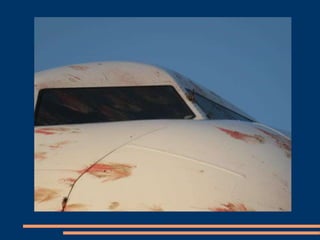 Avion lovit de pasari