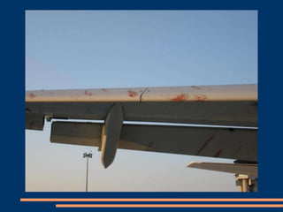 Avion lovit de pasari