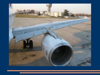 Avion lovit de pasari