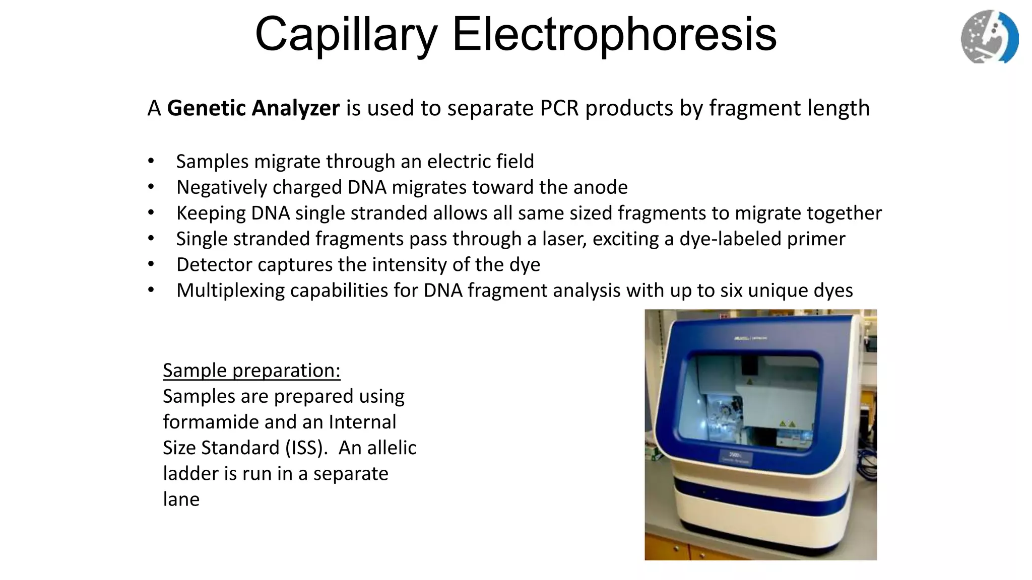 Capillary Electrophoresis
A Genetic Analyzer is used to separate PCR products by fragment length
• Samples migrate through an electric field
• Negatively charged DNA migrates toward the anode
• Keeping DNA single stranded allows all same sized fragments to migrate together
• Single stranded fragments pass through a laser, exciting a dye-labeled primer
• Detector captures the intensity of the dye
• Multiplexing capabilities for DNA fragment analysis with up to six unique dyes
Sample preparation:
Samples are prepared using
formamide and an Internal
Size Standard (ISS). An allelic
ladder is run in a separate
lane
 