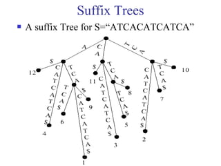  A suffix Tree for S=“ATCACATCATCA” 
3 -18 
Suffix Trees 
 