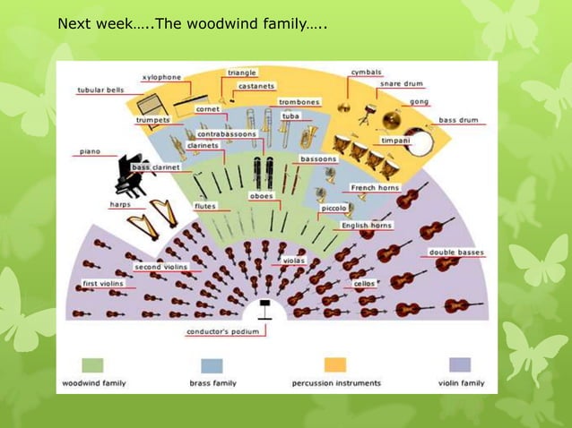 Stringed instruments micro teaching powerpoint | PPTX