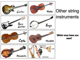 Other string instruments Which ones have you seen? Dulcimer Lute Autoharp