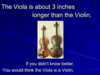 The Viola is about 3 inches longer than the Violin. If you didn’t know better, You would think the Viola is a Violin.
