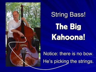 String Bass! Notice: there is no bow. He’s picking the strings. The Big Kahoona!