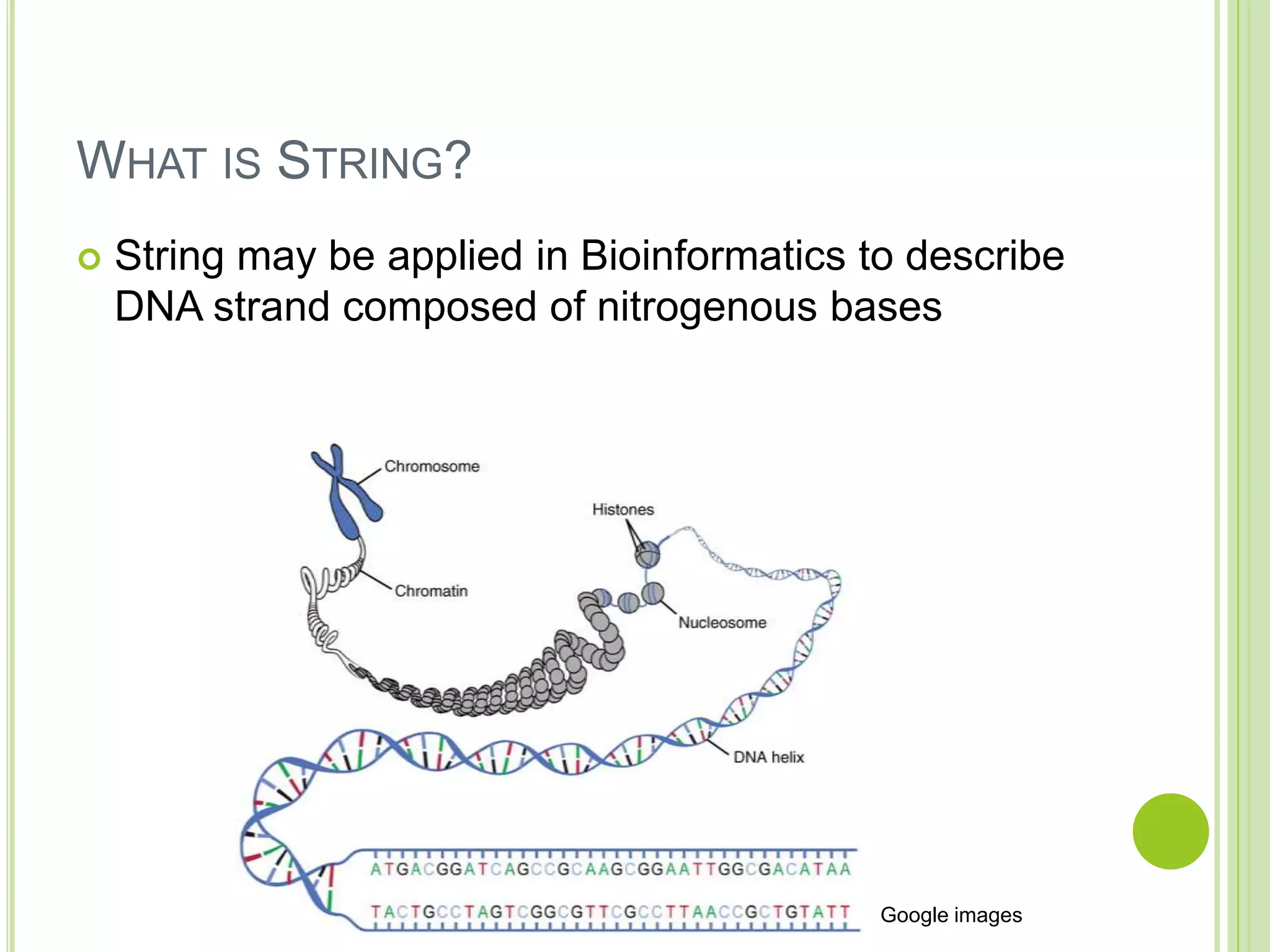 String matching algorithms | PPTX