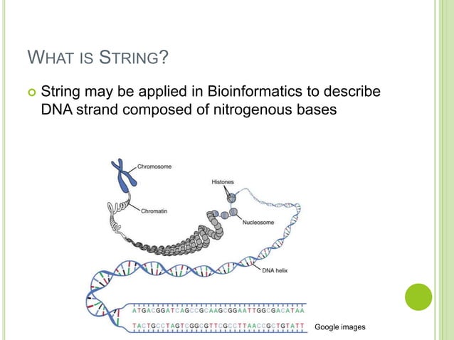 String matching algorithms | PPTX