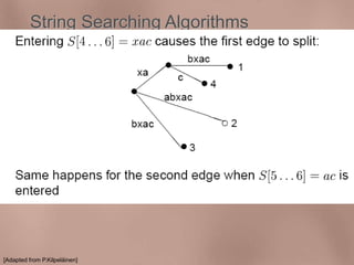String Searching Algorithms 
Suffix Trees - Construction - Example 
[Adapted from P.Kilpeläinen] 
 
