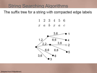 String Searching Algorithms 
Suffix Trees - Compact representation 
- Example 
[Adapted from P.Kilpeläinen] 
 