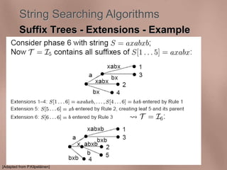 String Searching Algorithms 
Suffix Trees - Extensions - Example 
[Adapted from P.Kilpeläinen] 
 