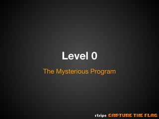 Level 0
The Mysterious Program

 