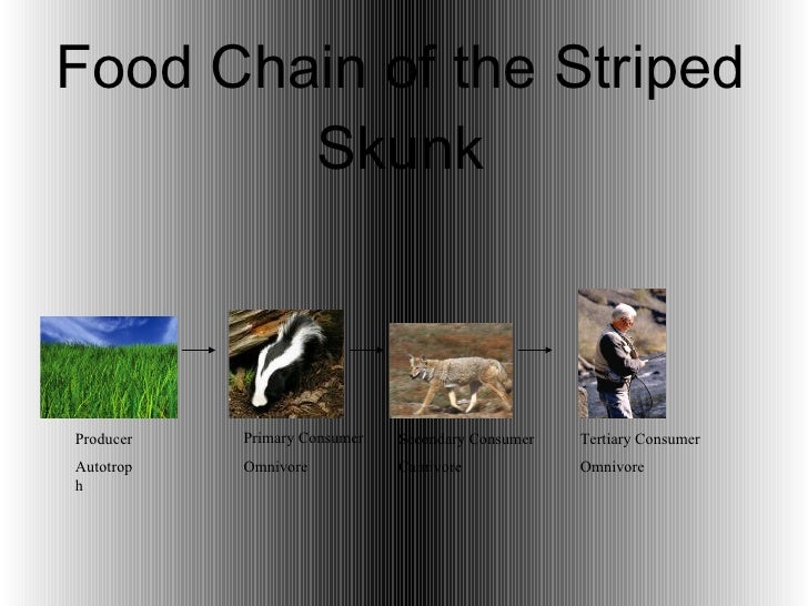 Courtney Emery Biology Diagrams