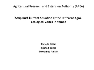 Agricultural Research and Extension Authority (AREA)
Strip Rust Current Situation at the Different Agro-
Ecological Zones in Yemen
Abdulla Sailan
Rashad Basha
Mohamed Amran
 