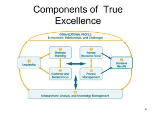 Components of True
   Excellence




                     4
 