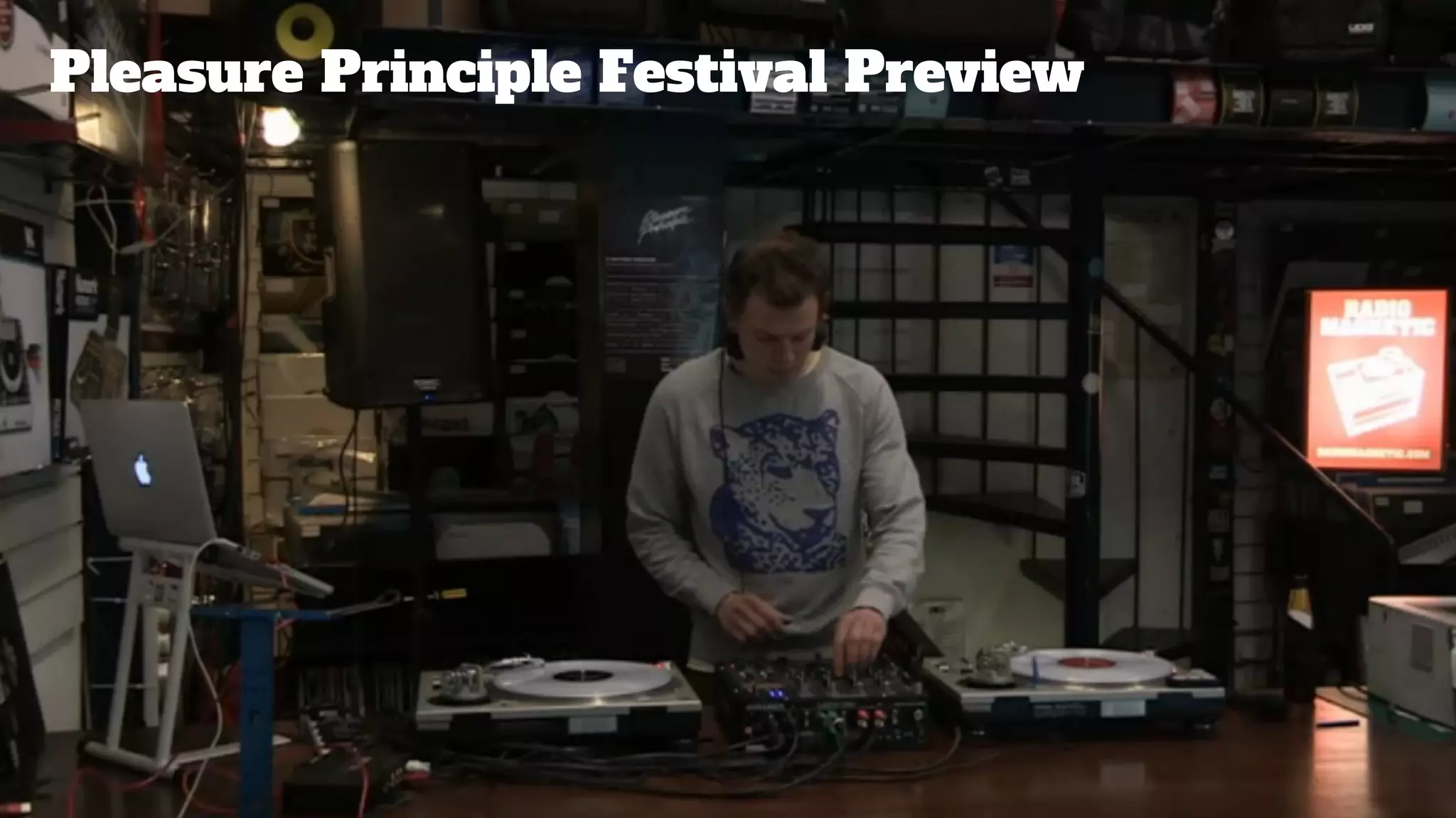 Pleasure Principle Festival Preview
 