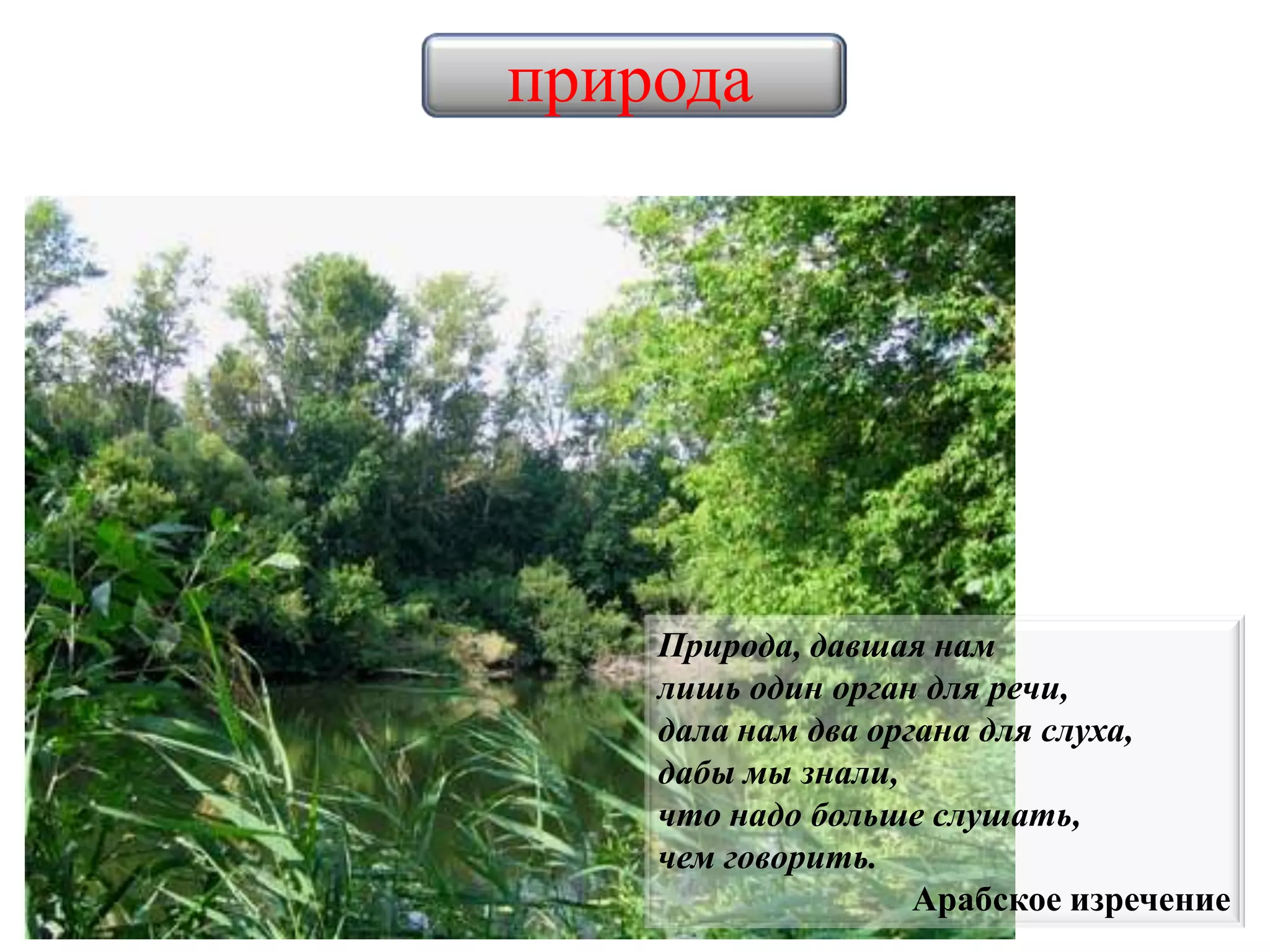 природа
Природа, давшая нам
лишь один орган для речи,
дала нам два органа для слуха,
дабы мы знали,
что надо больше слушать,
чем говорить.
Арабское изречение
 