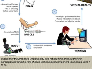 Diagram of the proposed virtual reality and robotic limb orthosis training
paradigm showing the role of each technological component (numbered from 1
to 5).
 