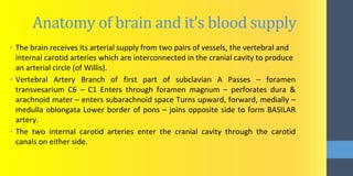 Anatomy of brain and it’s blood supply
• The brain receives its arterial supply from two pairs of vessels, the vertebral and
internal carotid arteries which are interconnected in the cranial cavity to produce
an arterial circle (of Willis).
• Vertebral Artery Branch of first part of subclavian A Passes – foramen
transvesarium C6 – C1 Enters through foramen magnum – perforates dura &
arachnoid mater – enters subarachnoid space Turns upward, forward, medially –
medulla oblongata Lower border of pons – joins opposite side to form BASILAR
artery.
• The two internal carotid arteries enter the cranial cavity through the carotid
canals on either side.
 