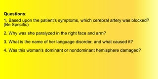 Questions:
1. Based upon the patient's symptoms, which cerebral artery was blocked?
(Be Specific)
2. Why was she paralyzed in the right face and arm?
3. What is the name of her language disorder, and what caused it?
4. Was this woman's dominant or nondominant hemisphere damaged?
 