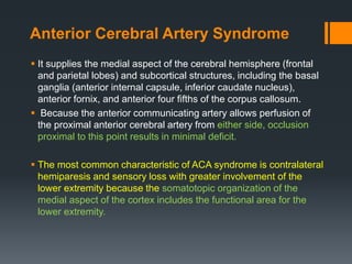 Anterior Cerebral Artery Syndrome
 It supplies the medial aspect of the cerebral hemisphere (frontal
and parietal lobes) and subcortical structures, including the basal
ganglia (anterior internal capsule, inferior caudate nucleus),
anterior fornix, and anterior four fifths of the corpus callosum.
 Because the anterior communicating artery allows perfusion of
the proximal anterior cerebral artery from either side, occlusion
proximal to this point results in minimal deficit.
 The most common characteristic of ACA syndrome is contralateral
hemiparesis and sensory loss with greater involvement of the
lower extremity because the somatotopic organization of the
medial aspect of the cortex includes the functional area for the
lower extremity.
 