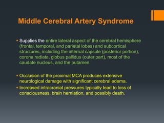 Middle Cerebral Artery Syndrome
 Supplies the entire lateral aspect of the cerebral hemisphere
(frontal, temporal, and parietal lobes) and subcortical
structures, including the internal capsule (posterior portion),
corona radiata, globus pallidus (outer part), most of the
caudate nucleus, and the putamen.
 Occlusion of the proximal MCA produces extensive
neurological damage with significant cerebral edema.
 Increased intracranial pressures typically lead to loss of
consciousness, brain herniation, and possibly death.
 
