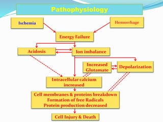 Ischemia
Energy Failure
Ion imbalance
Cell Injury & Death
Cell membranes & proteins breakdown
Formation of free Radicals
Protein production decreased
Pathophysiology
Intracellular calcium
increased
Depolarization
Increased
Glutamate
Hemorrhage
Acidosis
 