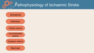 Pathophysiology of Ischaemic Stroke
Ischaemia
Infarction
Cellular edema
Ionic/Interstitial
edema
Vasogenic edema
Necrosis
 