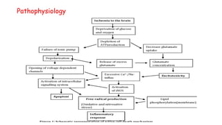 Pathophysiology
 