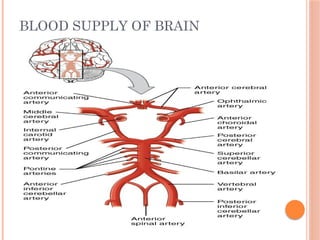 BLOOD SUPPLY OF BRAIN
 