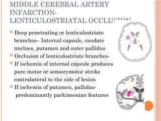 MIDDLE CEREBRAL ARTERY
INFARCTION-
LENTICULOSTRIATAL OCCLUSION
 Deep penetrating or lenticulostriate
branches– Internal capsule, caudate
nuclues, putamen and outer pallidus
 Occlusion of lenticulostriate branches-
 If ischemia of internal capsule produces
pure motor or sensorymotor stroke
contralateral to the side of lesion
 If ischemia of putamen, pallidus-
predominantly parkinsonian features
 