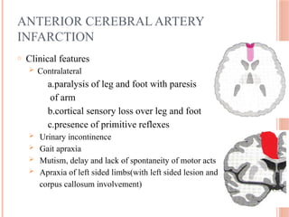 ANTERIOR CEREBRAL ARTERY
INFARCTION
o Clinical features
 Contralateral
a.paralysis of leg and foot with paresis
of arm
b.cortical sensory loss over leg and foot
c.presence of primitive reflexes
 Urinary incontinence
 Gait apraxia
 Mutism, delay and lack of spontaneity of motor acts
 Apraxia of left sided limbs(with left sided lesion and
corpus callosum involvement)
 