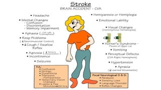 Comprehensive Overview and Management of Cerebrovascular Accident ...