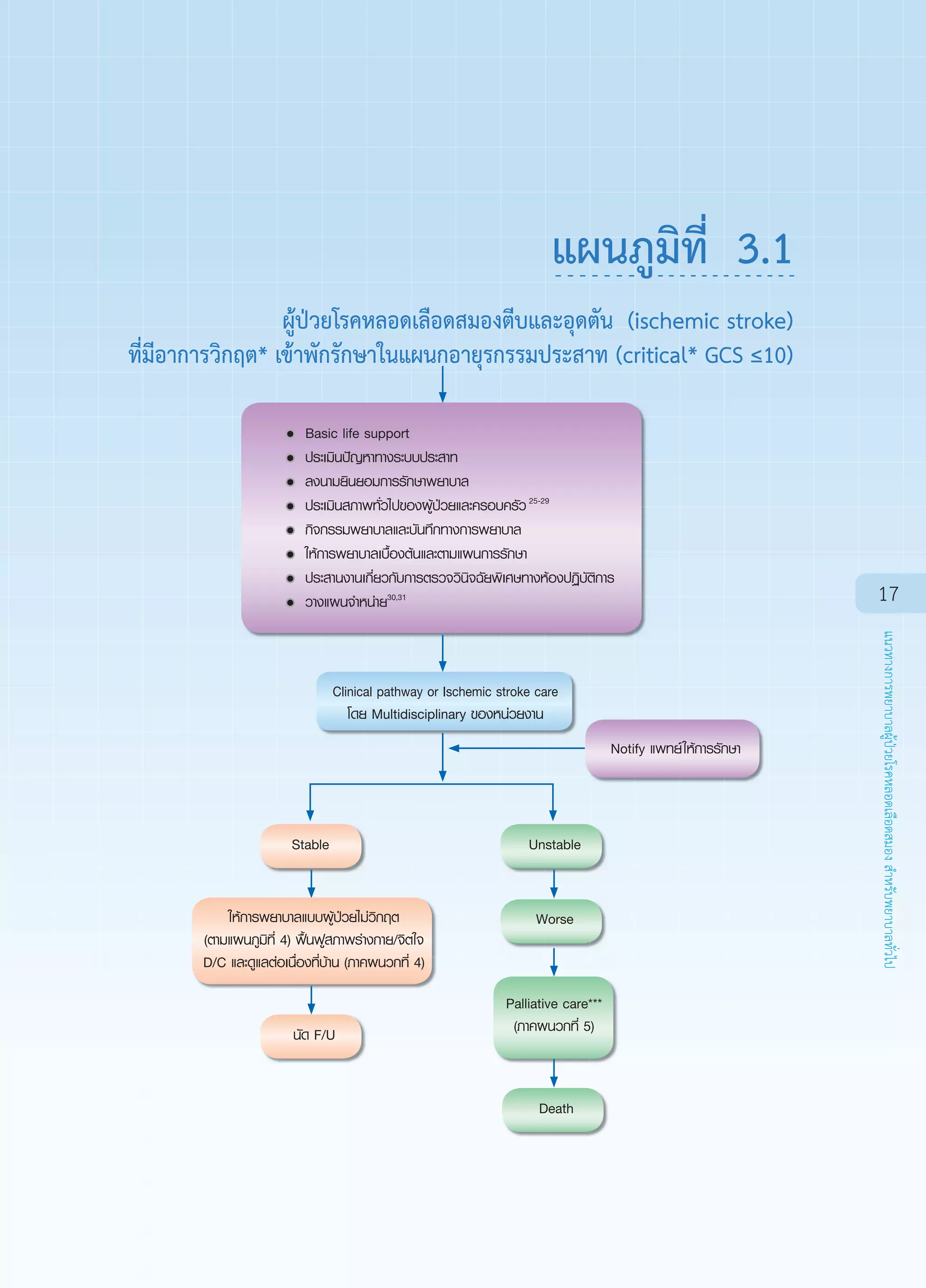 Clinical Nursing Practice Guideline for Stroke 2012 | PDF