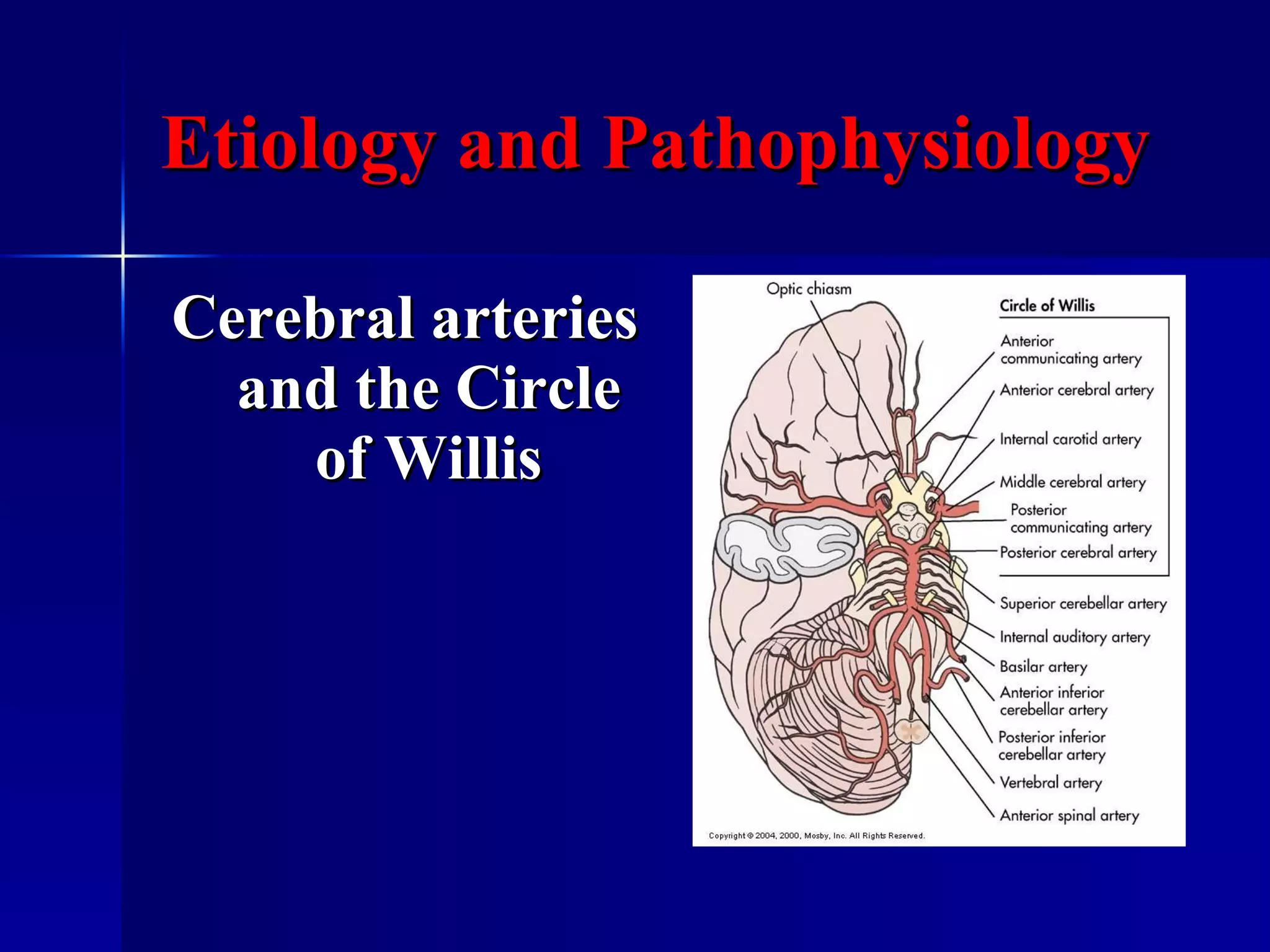 Etiology and Pathophysiology Cerebral arteries and the Circle of Willis 