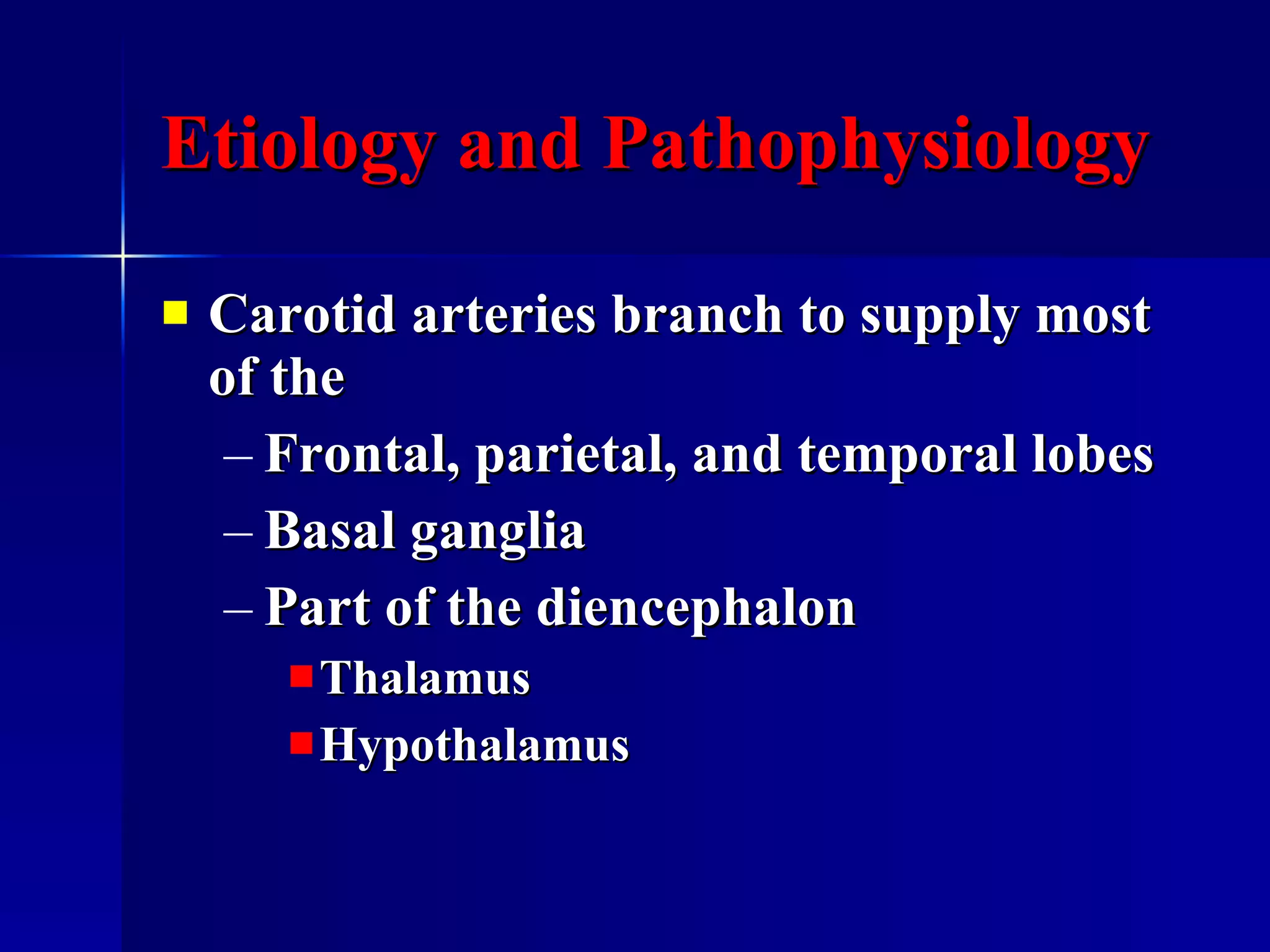 Etiology and Pathophysiology Carotid arteries branch to supply most of the  Frontal, parietal, and temporal lobes Basal ganglia Part of the diencephalon  Thalamus Hypothalamus 