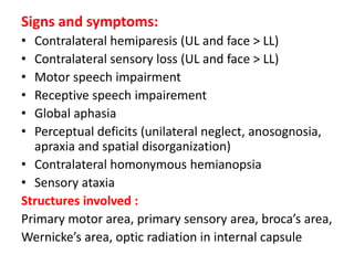Signs and symptoms:
•
•
•
•
•
•

Contralateral hemiparesis (UL and face > LL)
Contralateral sensory loss (UL and face > LL)
Motor speech impairment
Receptive speech impairement
Global aphasia
Perceptual deficits (unilateral neglect, anosognosia,
apraxia and spatial disorganization)
• Contralateral homonymous hemianopsia
• Sensory ataxia
Structures involved :
Primary motor area, primary sensory area, broca’s area,
Wernicke’s area, optic radiation in internal capsule

 