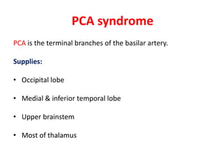 PCA syndrome
PCA is the terminal branches of the basilar artery.
Supplies:
• Occipital lobe
• Medial & inferior temporal lobe
• Upper brainstem

• Most of thalamus

 