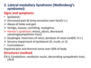 2. Lateral medullary Syndrome (Wallenberg’s
syndrome):
Signs and symptoms
•





Ipsilateral:
Decreased pain & temp sensation over face(V n.)
Ataxia of limbs and gait
Vertigo, nausea, vomitting, nystagmus
Horner’s syndrome: miosis, ptosis, decreased
sweating(sympathetic tract)
 Dysphagia, hoarsness of voice, paralysis of vocal cord(IX, X n.)
 Sensory impairment of ipsilateral UE, trunk, or LE
• Contralateral :
Impaired pain and thermal sense over 50% of body

Structures involved
CN V, Cerebellum, vestibular nuclei, descending sympathetic tract,
CN IX

 