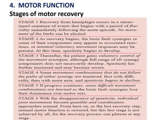4. MOTOR FUNCTION
Stages of motor recovery

 