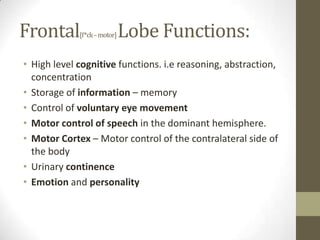 Frontal[f*ck – motor] Lobe Functions:High level cognitive functions. i.e reasoning, abstraction, concentrationStorage of information – memoryControl of voluntary eye movementMotor control of speech in the dominant hemisphere.Motor Cortex – Motor control of the contralateral side of the bodyUrinary continenceEmotion and personality