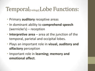 Temporal[t-telinga] Lobe Functions:Primary auditory receptive areasIn dominant ability to comprehend speech (wernicke’s) – receptionInterpretive area – area at the junction of the temporal, parietal and occipital lobes.Plays an important role in visual, auditory and olfactory perceptionImportant role in learning; memory and emotional affect.