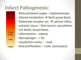 Infarct Pathogenesis:Reduced blood supply – hypoxia/anoxia.Altered metabolism  Na/K pump block. Glutamate receptor act.  calcium influx.ischemic injury – Red neuron, vacuolation.cell death, karyorrhexis.Inflammation – edema.Macrophages - > 5d.Liquifaction cavity –  >1wkGlial proliferation – >1wk. (astrocytes)Hours1-day3-day1 wk.>4wk